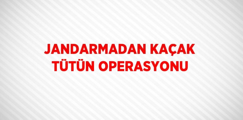 JANDARMADAN KAÇAK TÜTÜN OPERASYONU