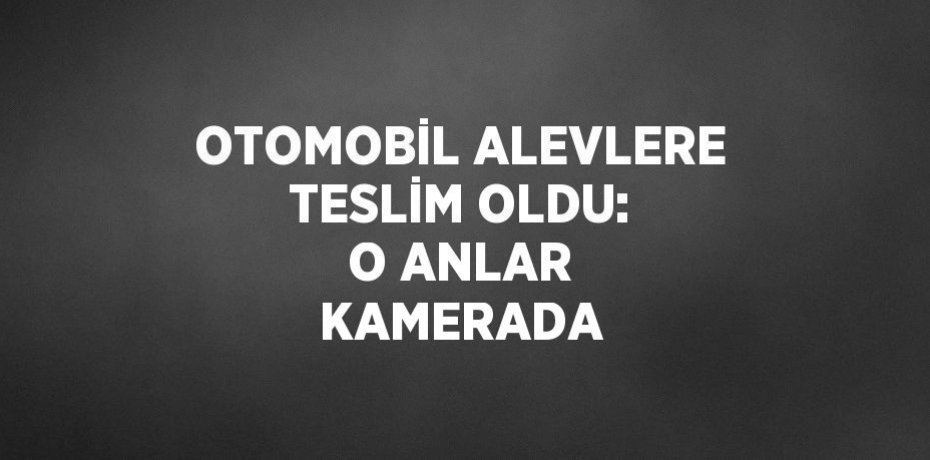 OTOMOBİL ALEVLERE TESLİM OLDU: O ANLAR KAMERADA