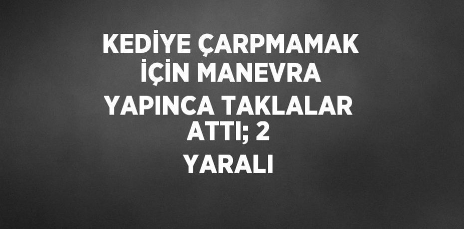 KEDİYE ÇARPMAMAK İÇİN MANEVRA YAPINCA TAKLALAR ATTI; 2 YARALI