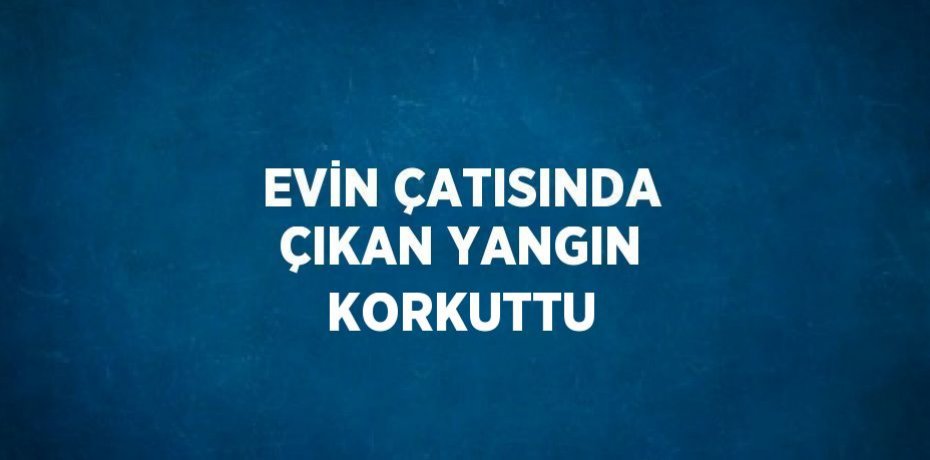 EVİN ÇATISINDA ÇIKAN YANGIN KORKUTTU