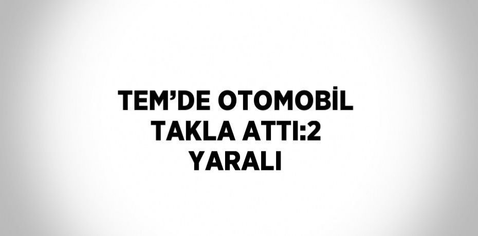 TEM’DE OTOMOBİL TAKLA ATTI:2 YARALI