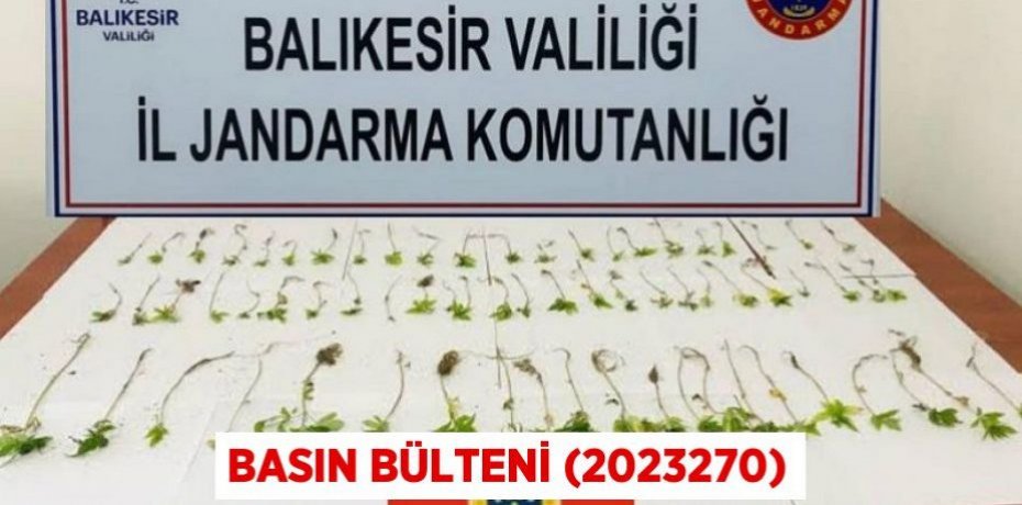Basın Bülteni (2023270)