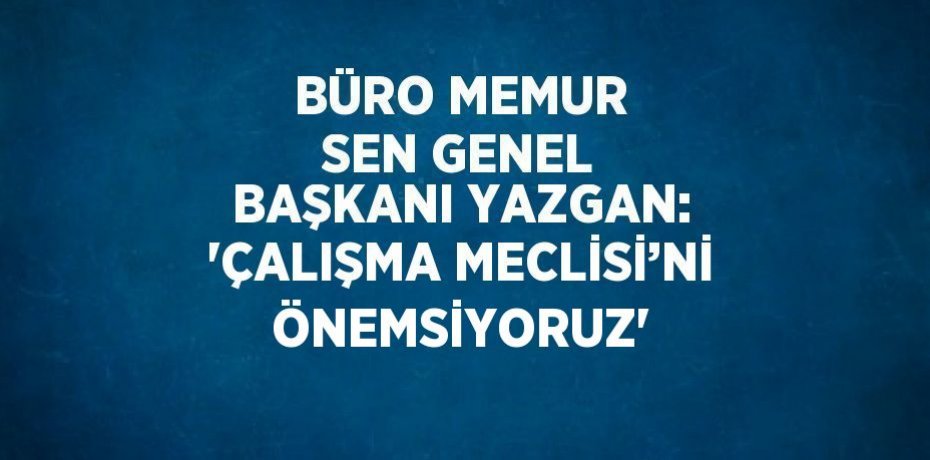 BÜRO MEMUR SEN GENEL BAŞKANI YAZGAN: 'ÇALIŞMA MECLİSİ’Nİ ÖNEMSİYORUZ'