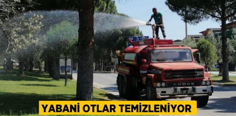 Yabani otlar temizleniyor