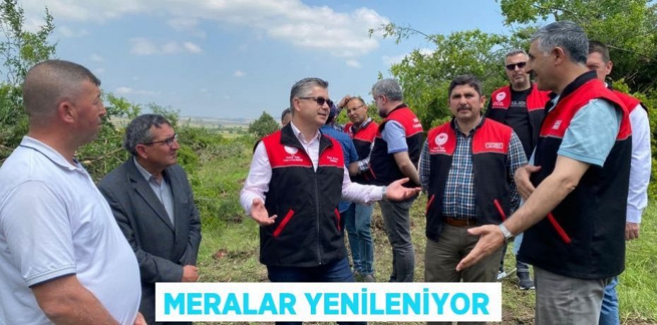 Meralar yenileniyor