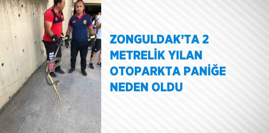 ZONGULDAK’TA 2 METRELİK YILAN OTOPARKTA PANİĞE NEDEN OLDU