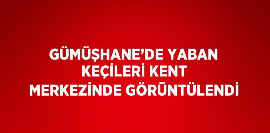 GÜMÜŞHANE’DE YABAN KEÇİLERİ KENT MERKEZİNDE GÖRÜNTÜLENDİ