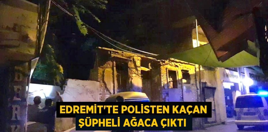 Edremit’te polisten kaçan şüpheli ağaca çıktı