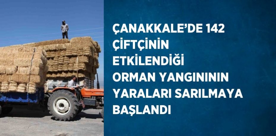 ÇANAKKALE’DE 142 ÇİFTÇİNİN ETKİLENDİĞİ ORMAN YANGINININ YARALARI SARILMAYA BAŞLANDI
