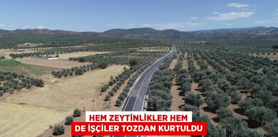 Hem zeytinlikler hem de işçiler tozdan kurtuldu