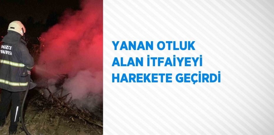 YANAN OTLUK ALAN İTFAİYEYİ HAREKETE GEÇİRDİ
