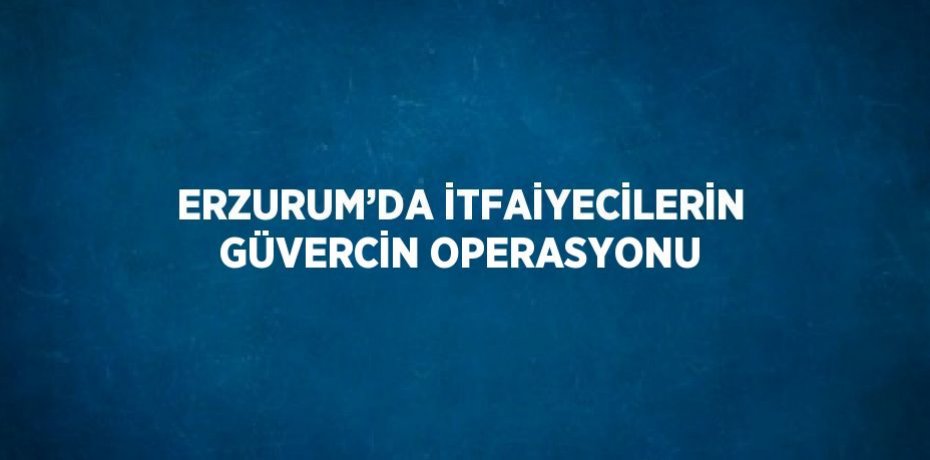 ERZURUM’DA İTFAİYECİLERİN GÜVERCİN OPERASYONU