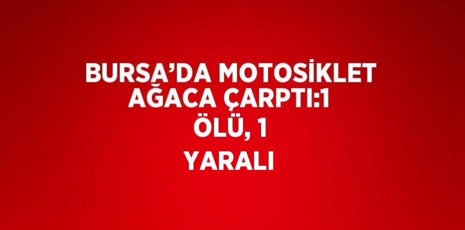 BURSA’DA MOTOSİKLET AĞACA ÇARPTI:1 ÖLÜ, 1 YARALI