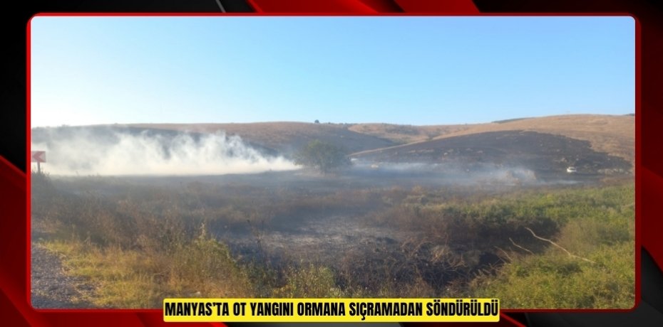 Manyas’ta ot yangını ormana sıçramadan söndürüldü  