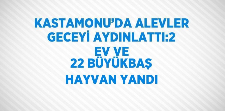 KASTAMONU’DA ALEVLER GECEYİ AYDINLATTI:2 EV VE 22 BÜYÜKBAŞ HAYVAN YANDI