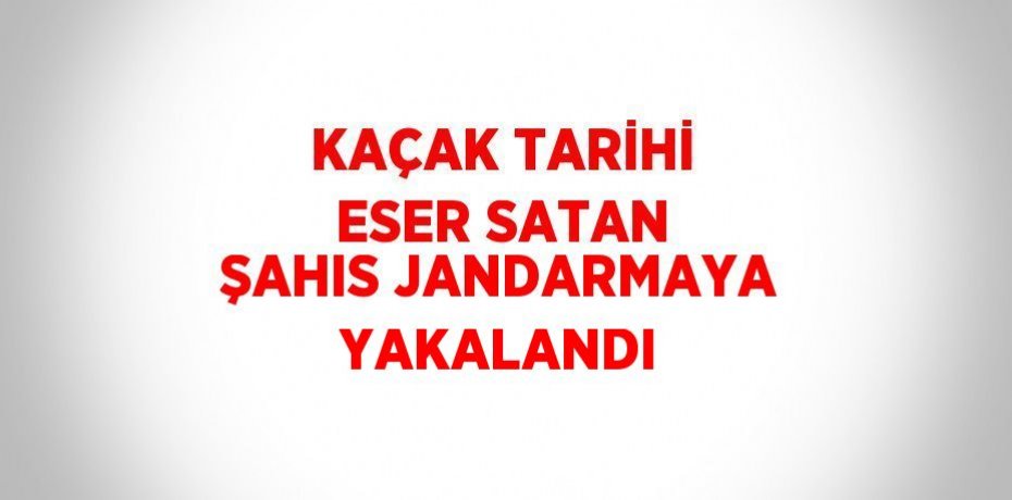 KAÇAK TARİHİ ESER SATAN ŞAHIS JANDARMAYA YAKALANDI
