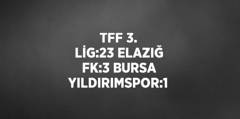 TFF 3. LİG:23 ELAZIĞ FK:3 BURSA YILDIRIMSPOR:1