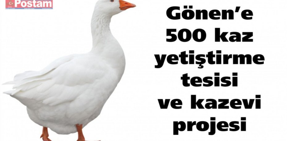 Gönen’e 500 kaz yetiştirme tesisi ve kazevi projesi