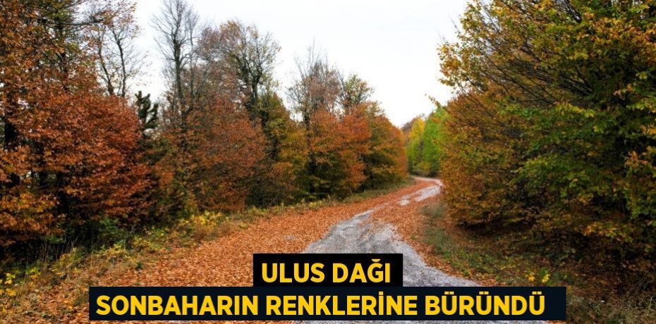 Ulus Dağı sonbaharın renklerine büründü 