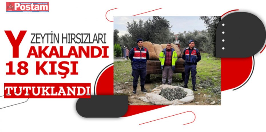 Zeytin hırsızları yakalandı, 18 kişi tutuklandı