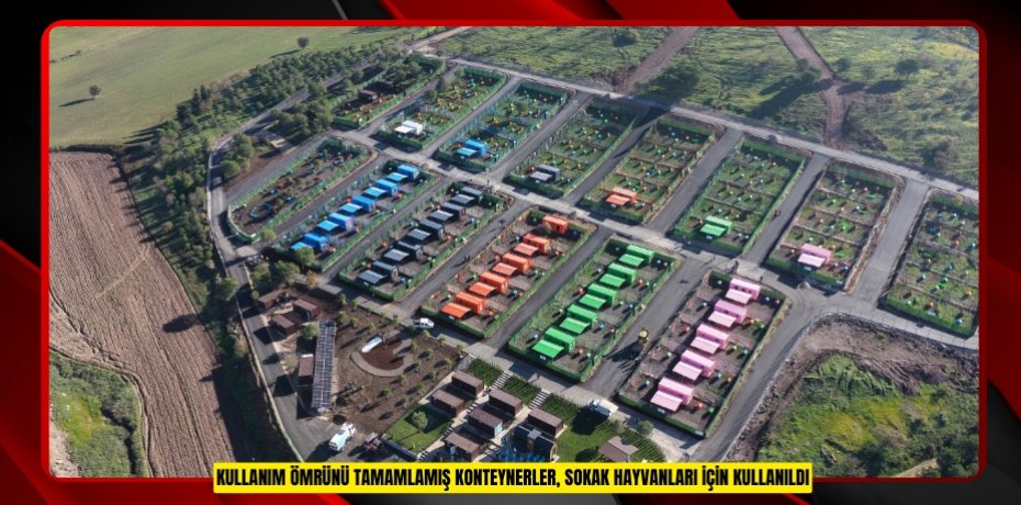 Kullanım ömrünü tamamlamış konteynerler, sokak hayvanları için kullanıldı