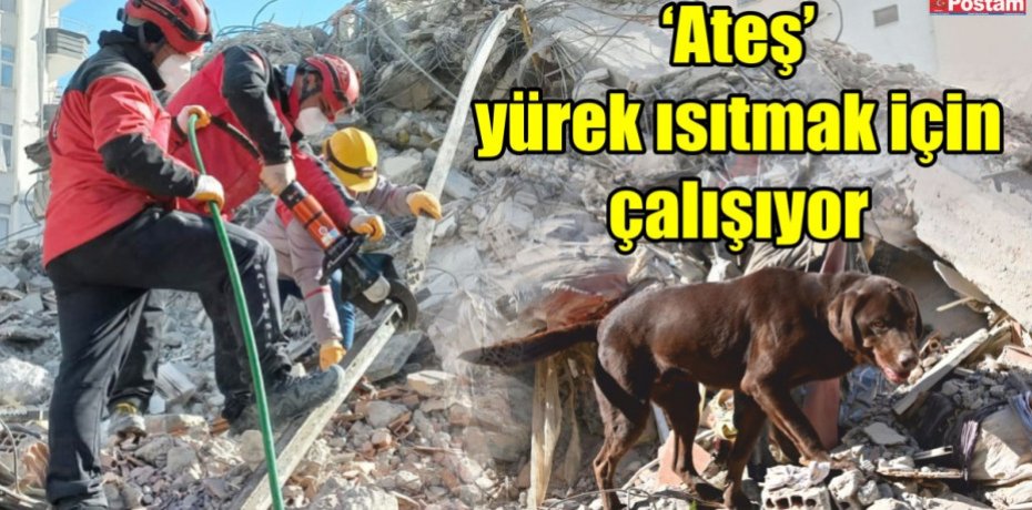‘Ateş’ yürek ısıtmak için çalışıyor
