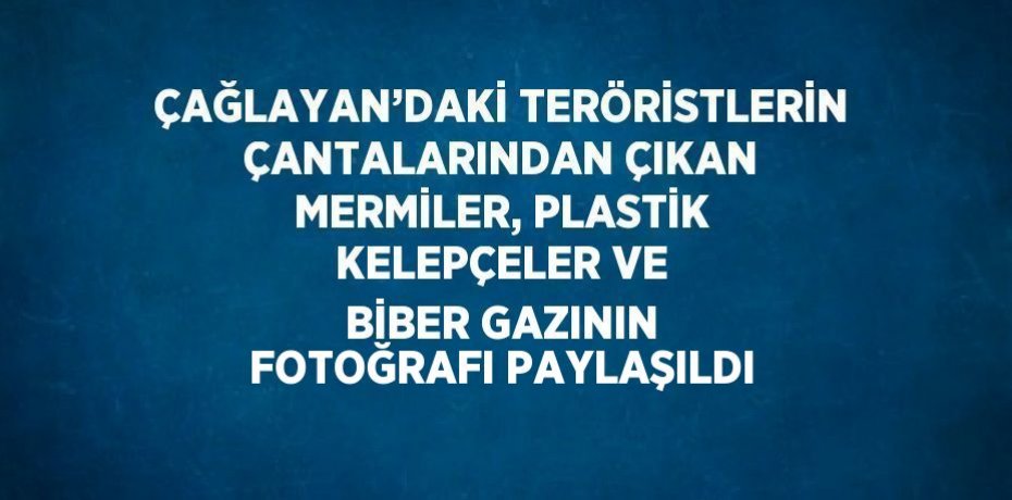 ÇAĞLAYAN’DAKİ TERÖRİSTLERİN ÇANTALARINDAN ÇIKAN MERMİLER, PLASTİK KELEPÇELER VE BİBER GAZININ FOTOĞRAFI PAYLAŞILDI
