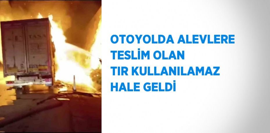 OTOYOLDA ALEVLERE TESLİM OLAN TIR KULLANILAMAZ HALE GELDİ