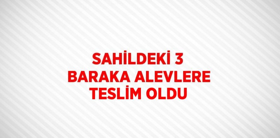 SAHİLDEKİ 3 BARAKA ALEVLERE TESLİM OLDU