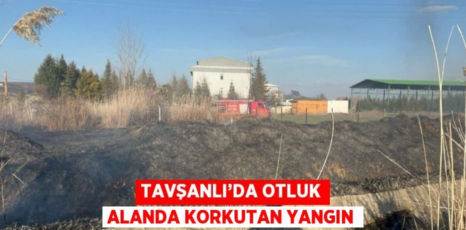 TAVŞANLI’DA OTLUK ALANDA KORKUTAN YANGIN