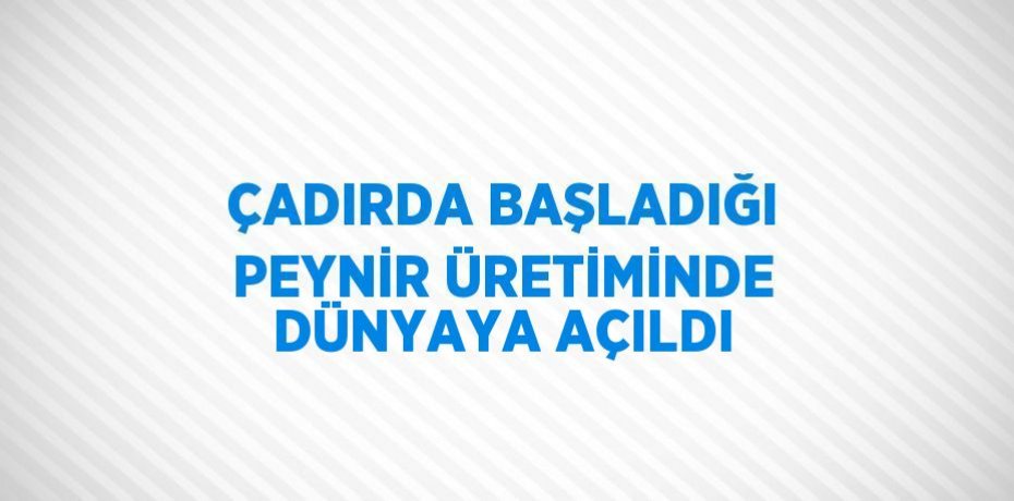 ÇADIRDA BAŞLADIĞI PEYNİR ÜRETİMİNDE DÜNYAYA AÇILDI