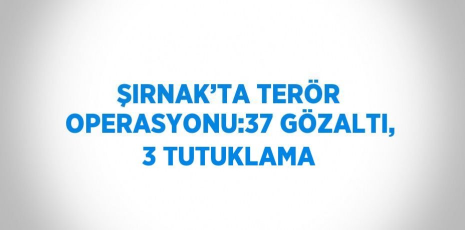 ŞIRNAK’TA TERÖR OPERASYONU:37 GÖZALTI, 3 TUTUKLAMA