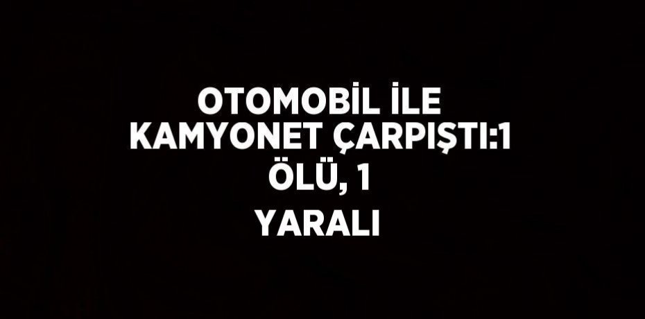 OTOMOBİL İLE KAMYONET ÇARPIŞTI:1 ÖLÜ, 1 YARALI