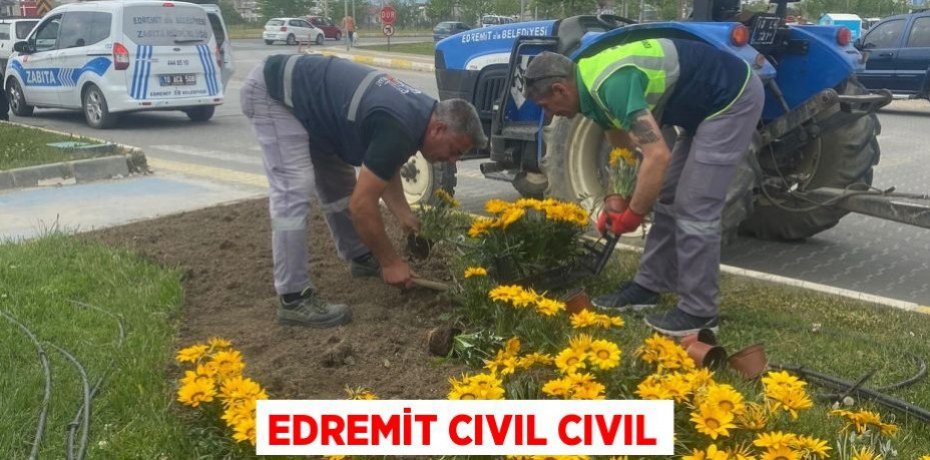 Edremit cıvıl cıvıl