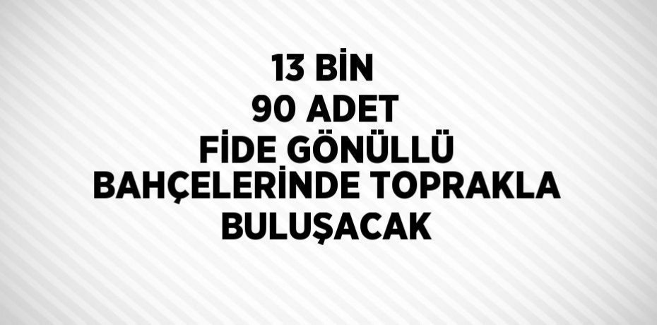 13 BİN 90 ADET FİDE GÖNÜLLÜ BAHÇELERİNDE TOPRAKLA BULUŞACAK