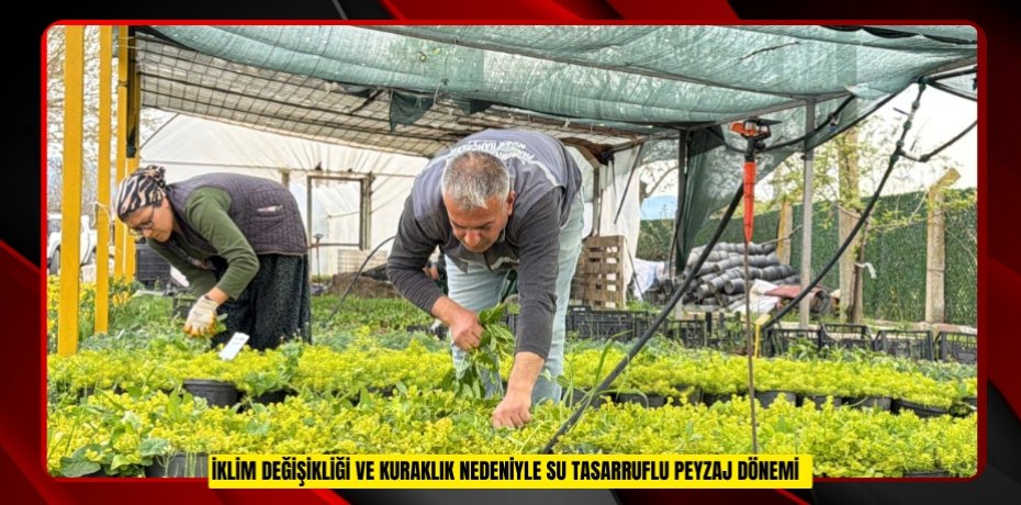 İklim değişikliği ve kuraklık nedeniyle su tasarruflu peyzaj dönemi  