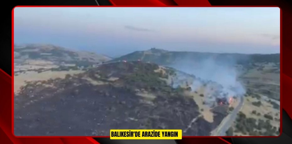 Balıkesir'de arazide yangın  