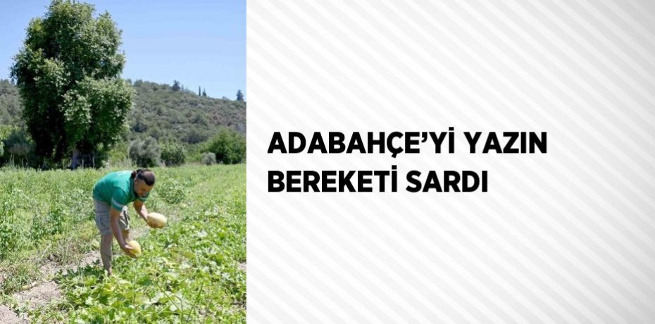 ADABAHÇE’Yİ YAZIN BEREKETİ SARDI