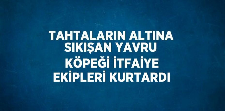 TAHTALARIN ALTINA SIKIŞAN YAVRU KÖPEĞİ İTFAİYE EKİPLERİ KURTARDI