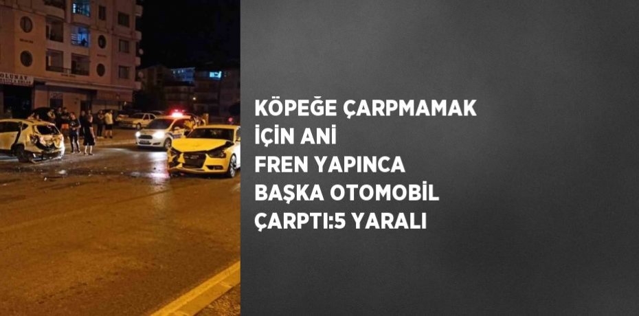 KÖPEĞE ÇARPMAMAK İÇİN ANİ FREN YAPINCA BAŞKA OTOMOBİL ÇARPTI:5 YARALI
