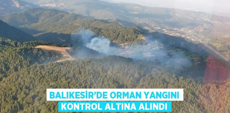 Balıkesir’de orman yangını kontrol altına alındı