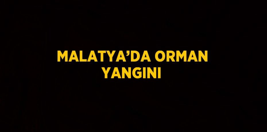 MALATYA’DA ORMAN YANGINI