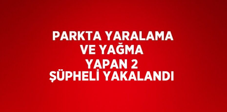 PARKTA YARALAMA VE YAĞMA YAPAN 2 ŞÜPHELİ YAKALANDI