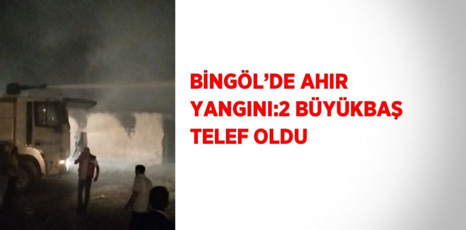 BİNGÖL’DE AHIR YANGINI:2 BÜYÜKBAŞ TELEF OLDU