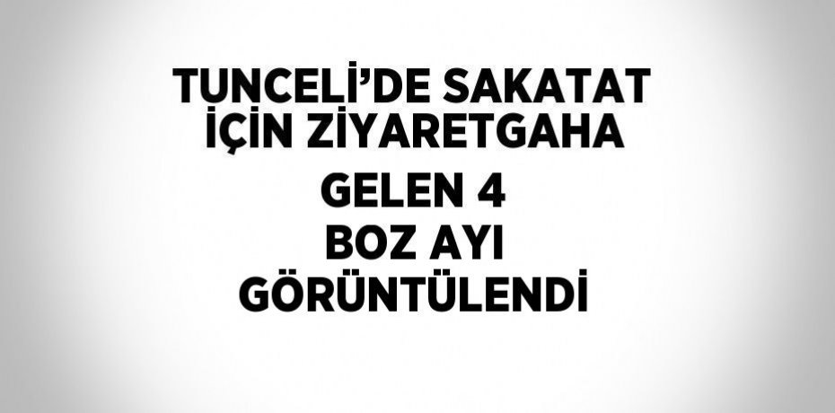 TUNCELİ’DE SAKATAT İÇİN ZİYARETGAHA GELEN 4 BOZ AYI GÖRÜNTÜLENDİ