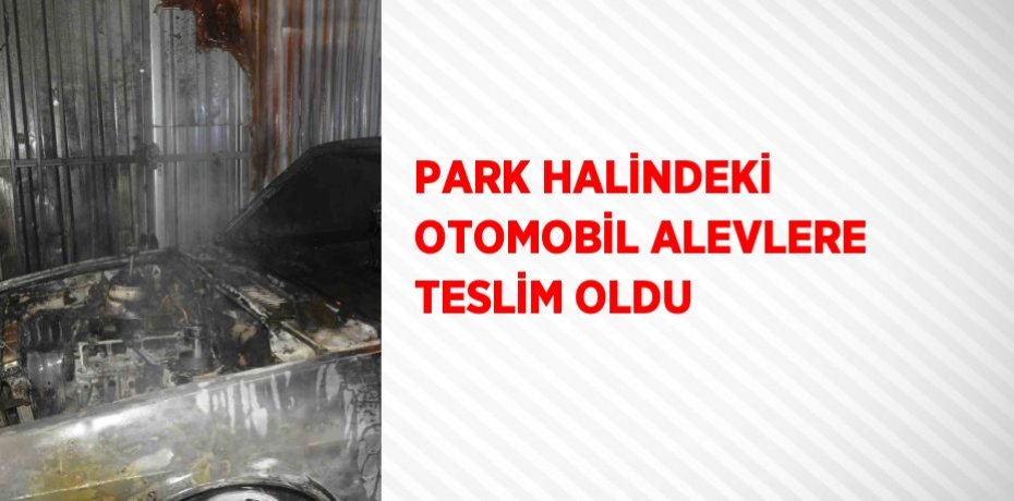 PARK HALİNDEKİ OTOMOBİL ALEVLERE TESLİM OLDU