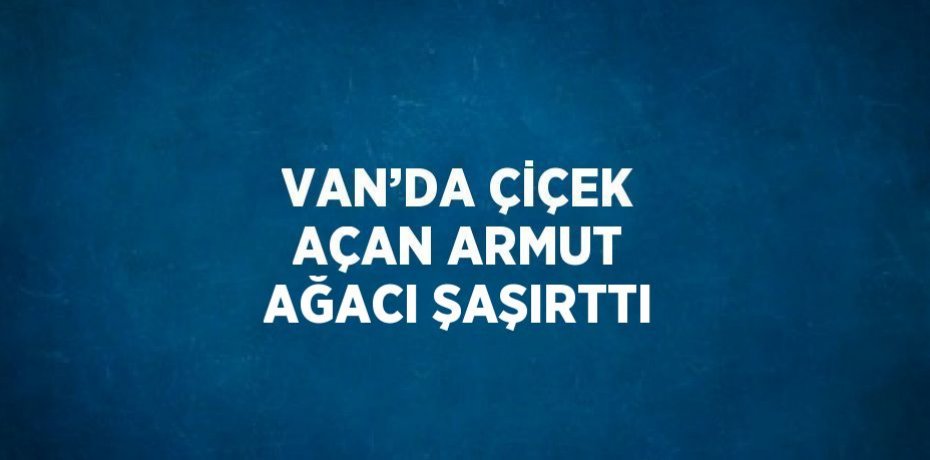 VAN’DA ÇİÇEK AÇAN ARMUT AĞACI ŞAŞIRTTI