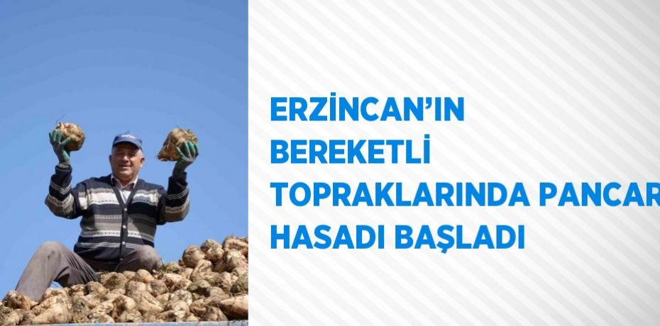 ERZİNCAN’IN BEREKETLİ TOPRAKLARINDA PANCAR HASADI BAŞLADI