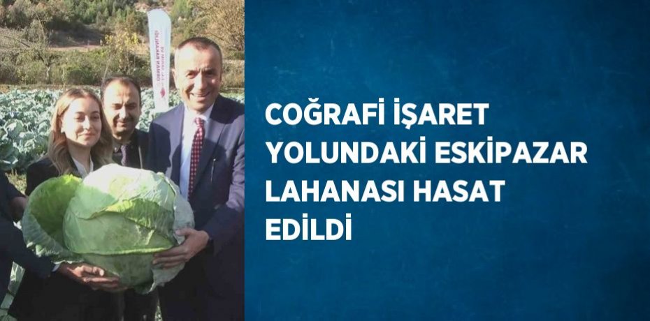 COĞRAFİ İŞARET YOLUNDAKİ ESKİPAZAR LAHANASI HASAT EDİLDİ