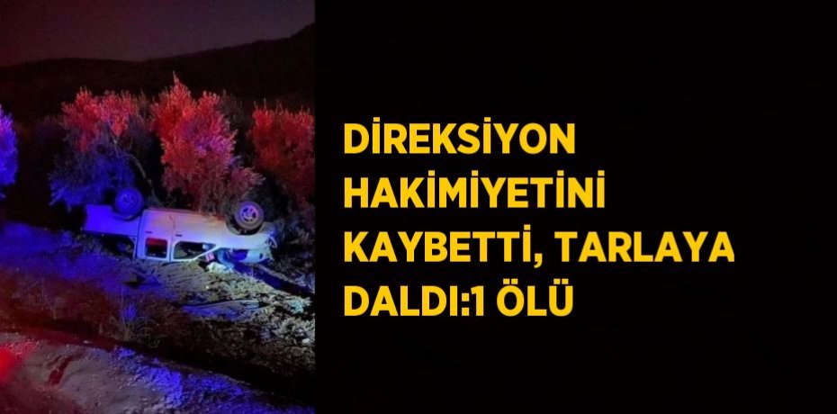 DİREKSİYON HAKİMİYETİNİ KAYBETTİ, TARLAYA DALDI:1 ÖLÜ